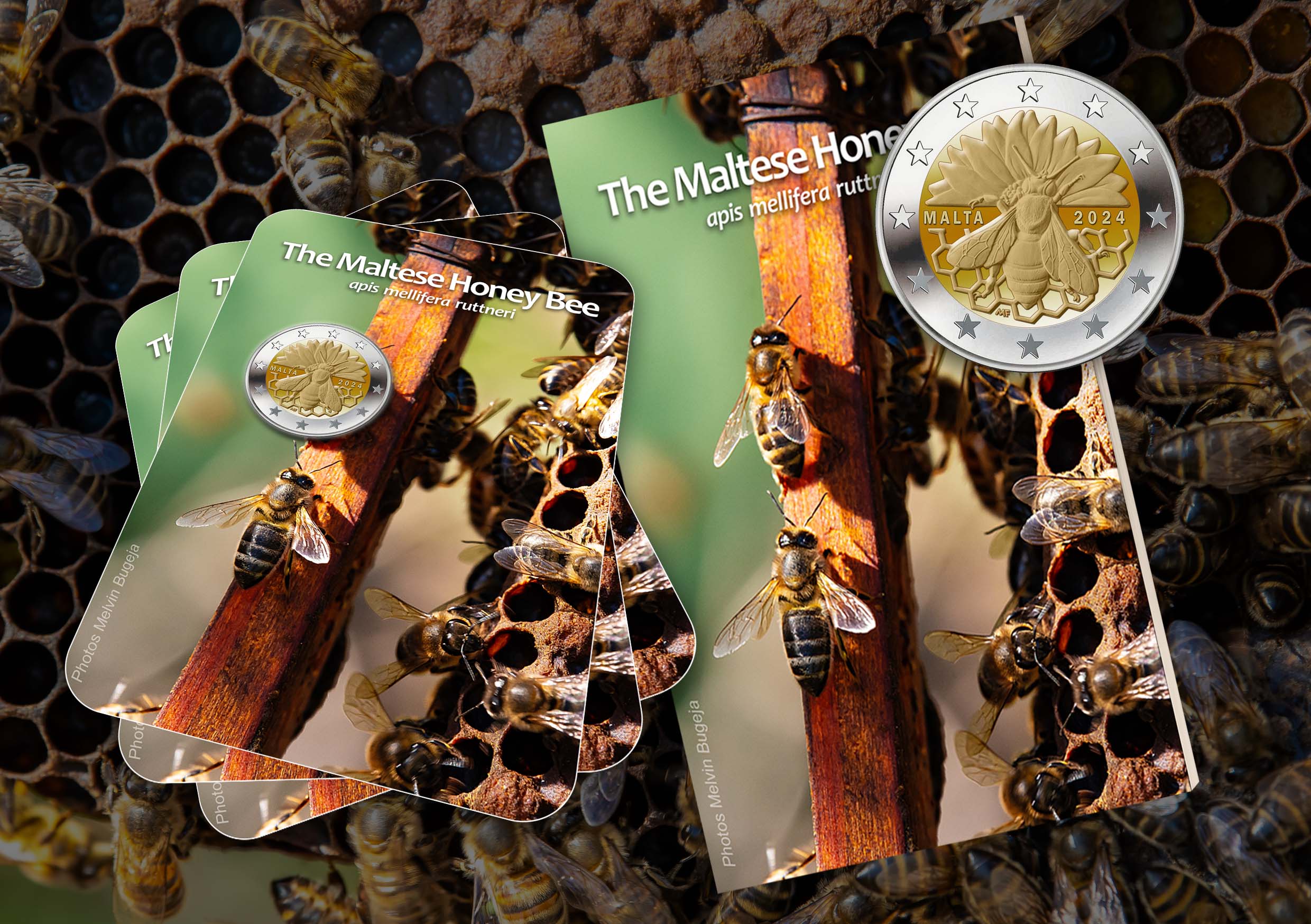 Maltese Honey Bee &euro;2 Coin Card