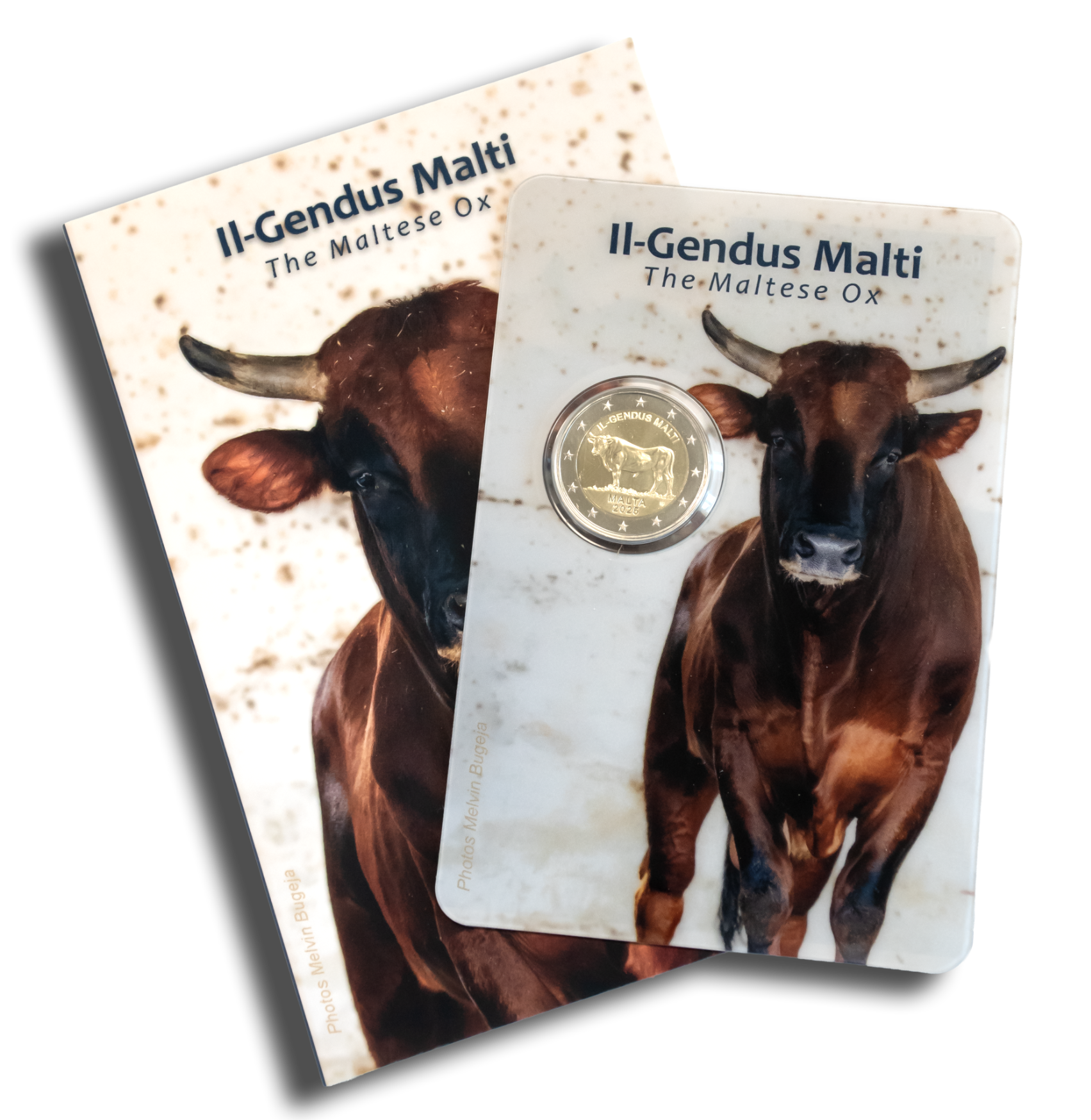 Gendus coin card Gendus coin card