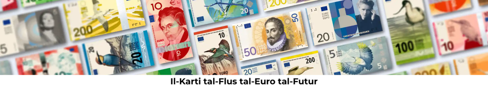 Il-Karti tal-Flus tal-Euro tal-Futur