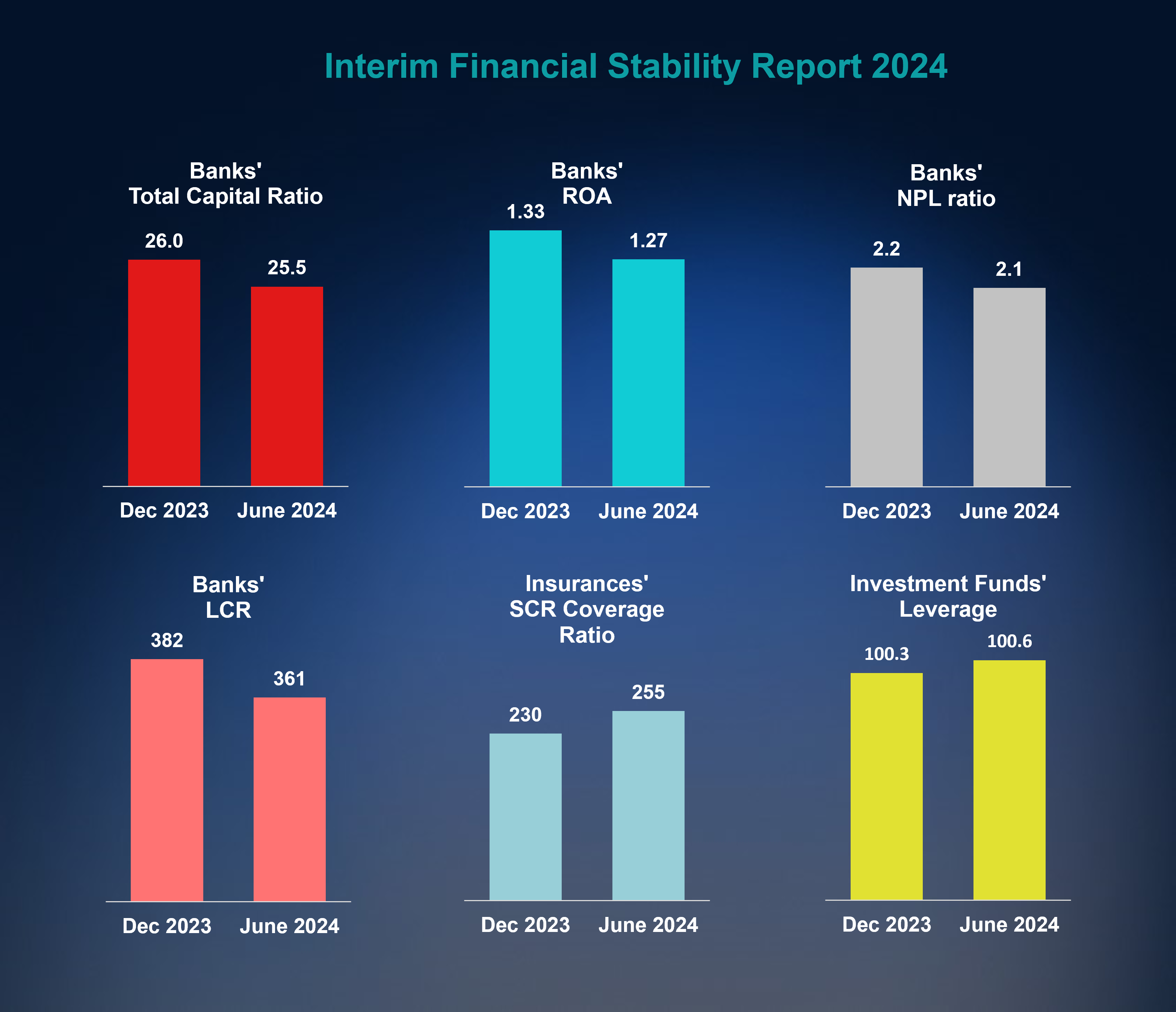 Interim FSR 2024 Interim FSR 2024